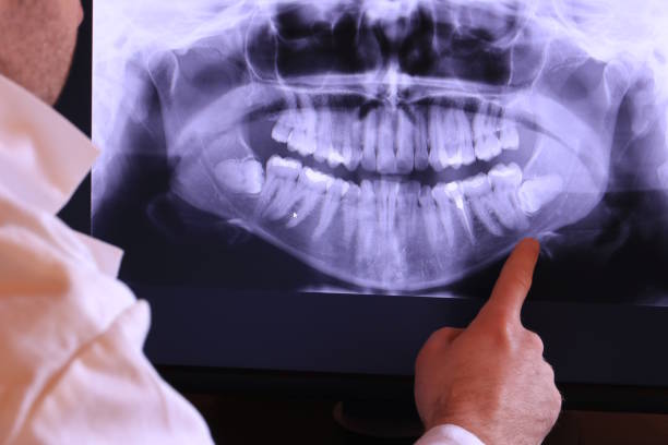 Best Emergency X-Rays and Diagnostics in Gettysburg, SD